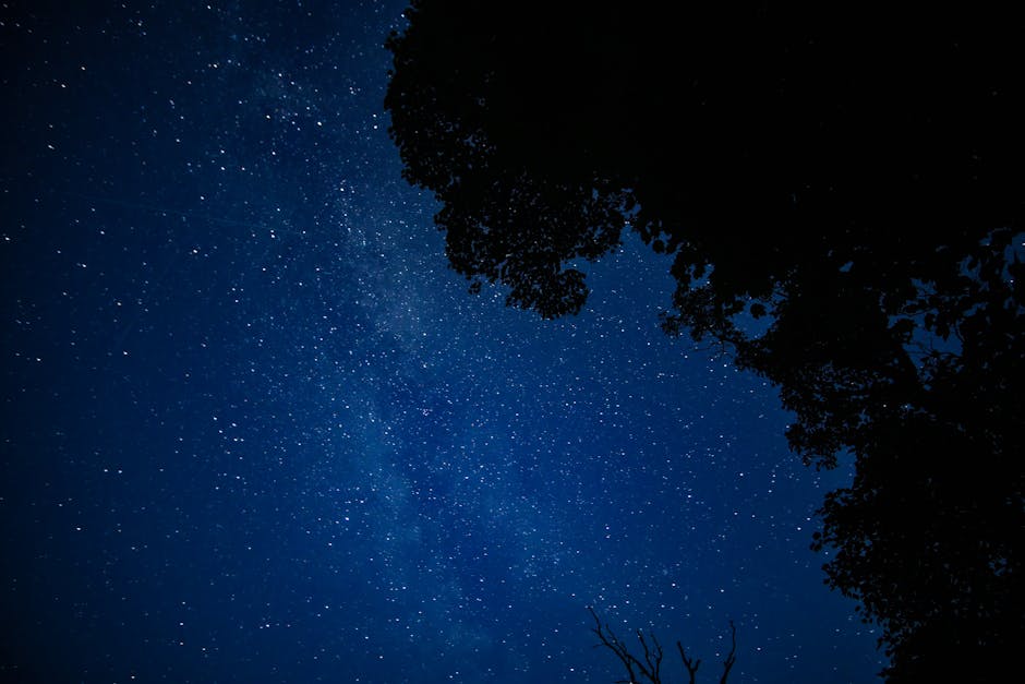 A breathtaking starry night sky with a tree silhouette framing the view.
