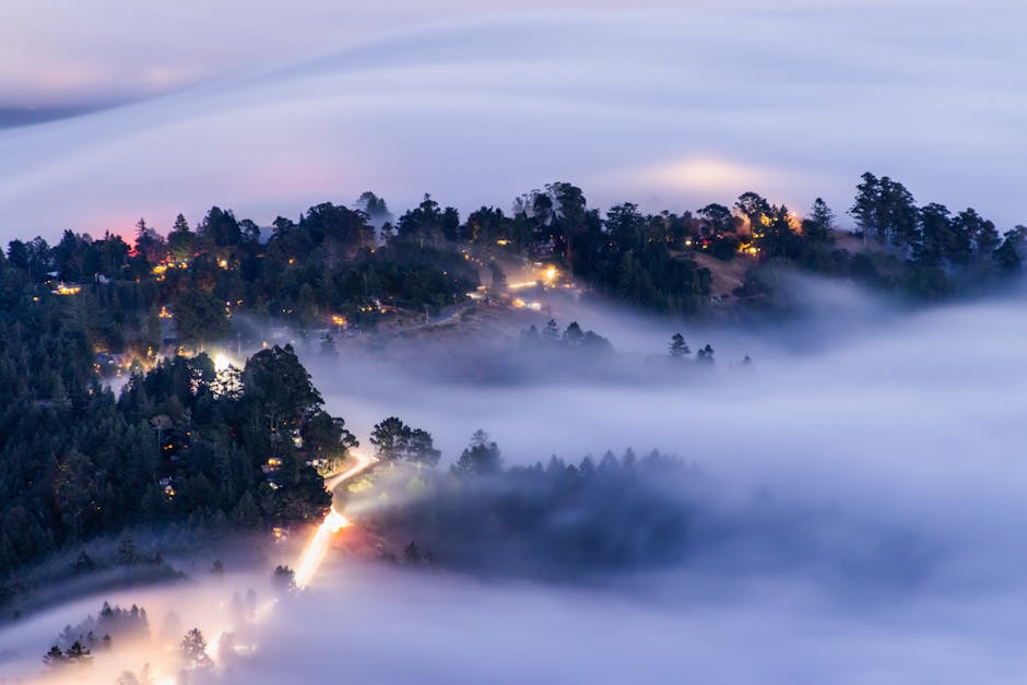 Aerial view of a forest village shrouded in mist and fog at twilight, with lights glowing.