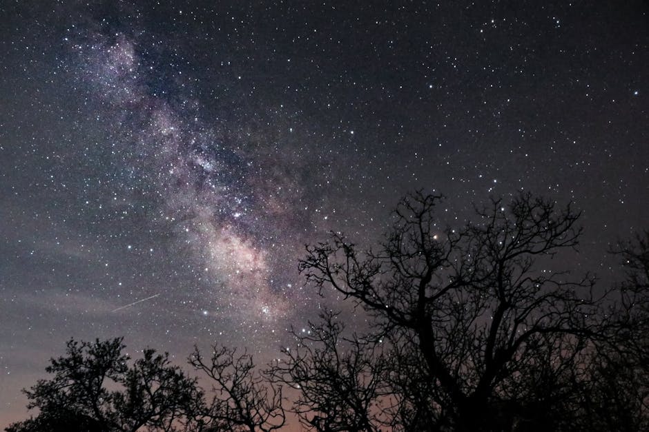 A breathtaking view of the Milky Way with silhouetted trees in Hamedan, Iran.