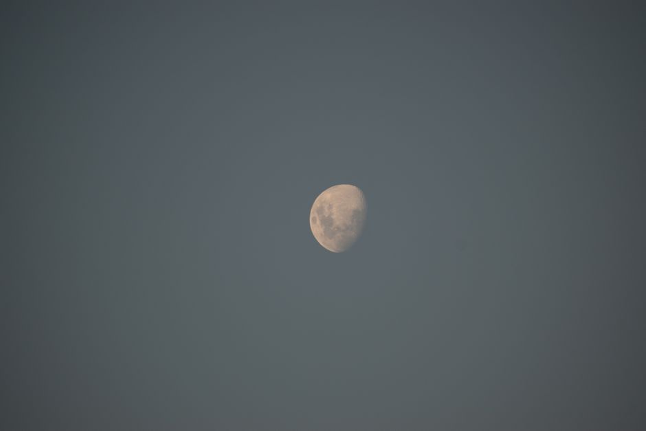 Capture of a waxing gibbous moon against a clear night sky, showcasing its serene beauty.