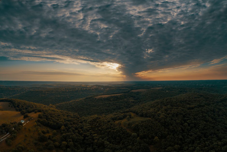 Aerial view of a vast forest landscape under dramatic sunset skies.