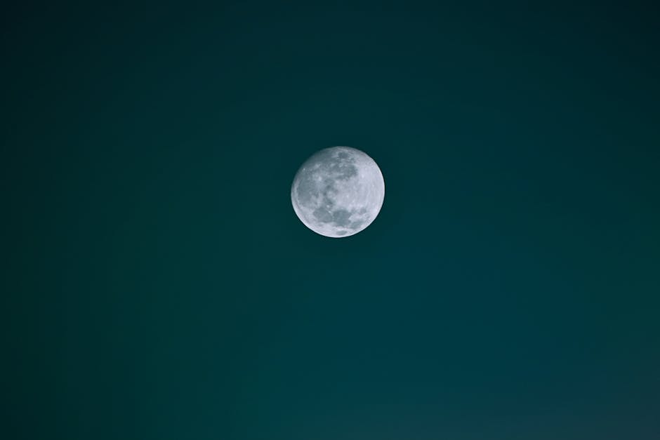 A calming view of the full moon set against a tranquil night sky, perfect for backgrounds and nature themes.