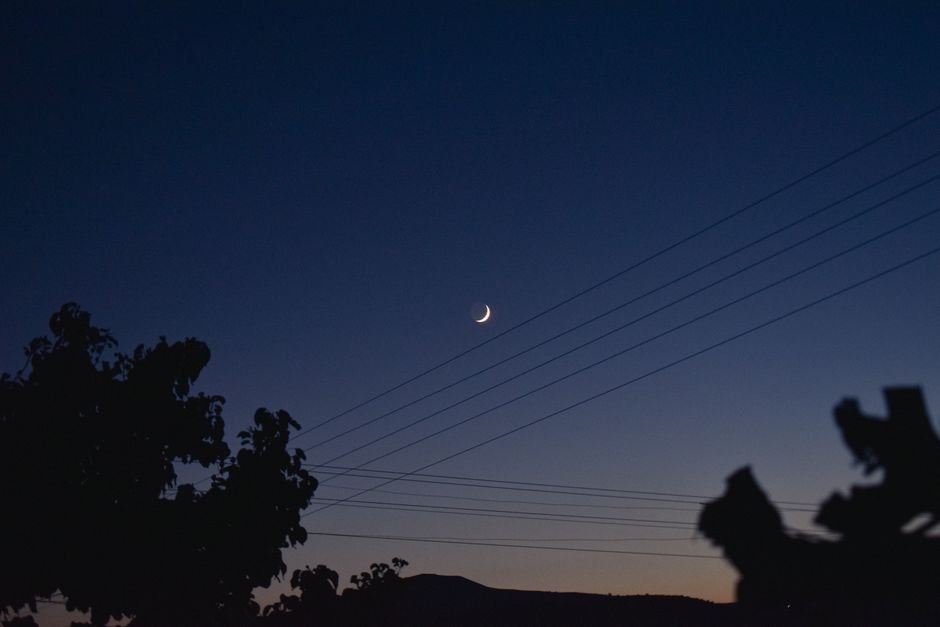 A crescent moon shines above silhouetted trees and power lines at twilight.