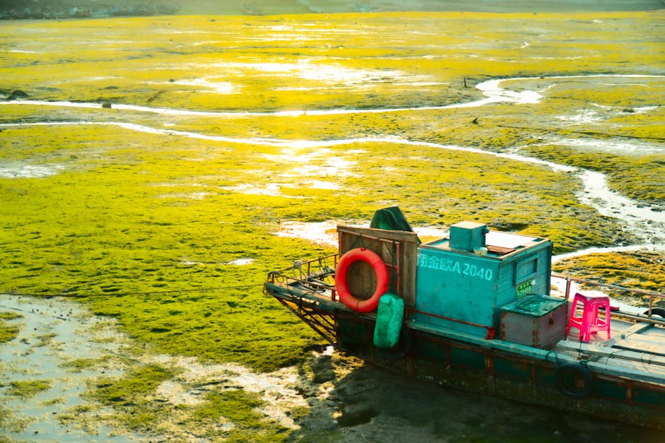 Abandoned boat on a vibrant green algae-covered shoreline, creating a unique and serene landscape.