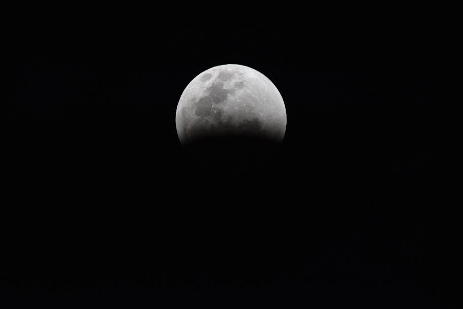 Captivating view of a partial lunar eclipse against the dark night sky.
