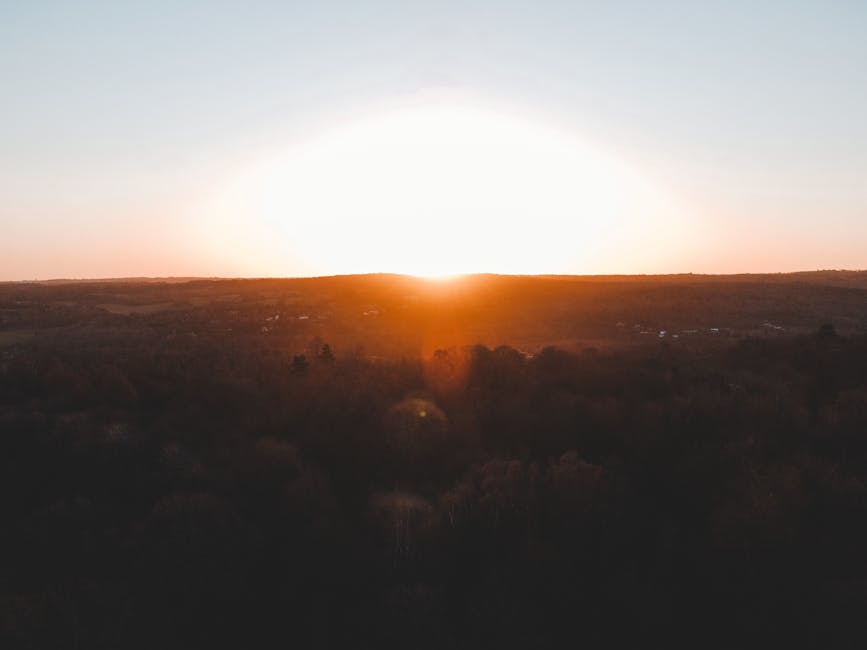 Experience the serene beauty of sunrise over the lush landscapes of England, capturing nature's tranquil colors.