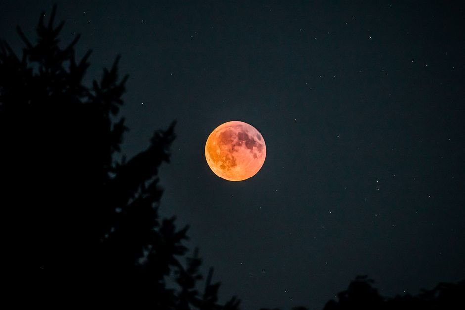 Capture of a vibrant blood moon and stars in a clear night sky with silhouetted trees.