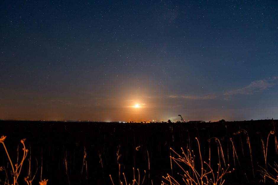 A serene nightscape capturing the beauty of stars and a rising moon over a quiet countryside.