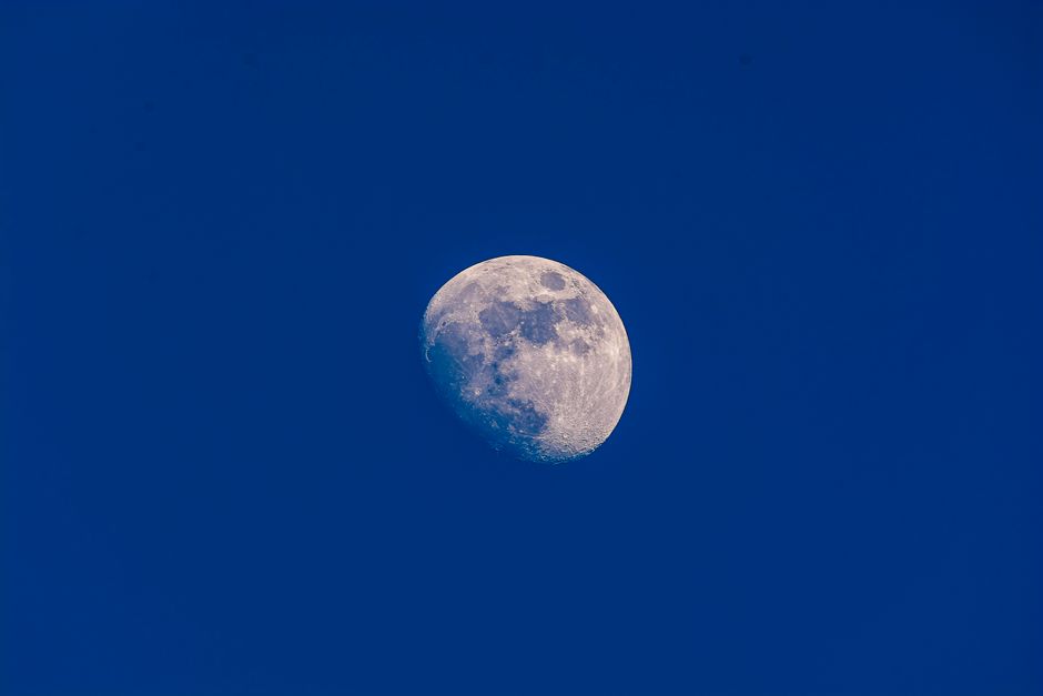 A clear view of the waxing gibbous moon set against a vibrant blue sky, showcasing lunar details.