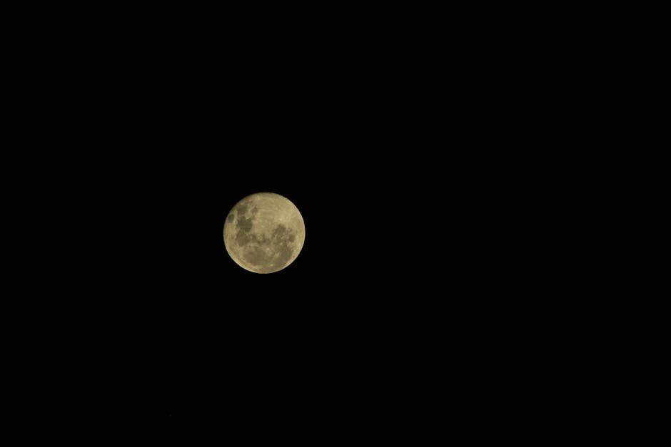 Captivating full moon glowing against a dark backdrop of the night sky.
