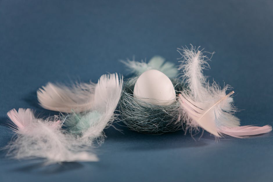 White egg nestled in a decorative arrangement of pastel feathers on a blue background.