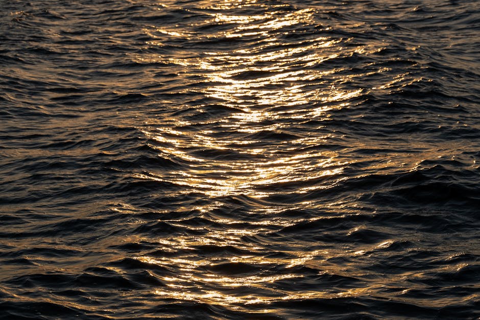 Warm golden light reflecting on tranquil ocean waves during sunset, creating a serene and peaceful mood.