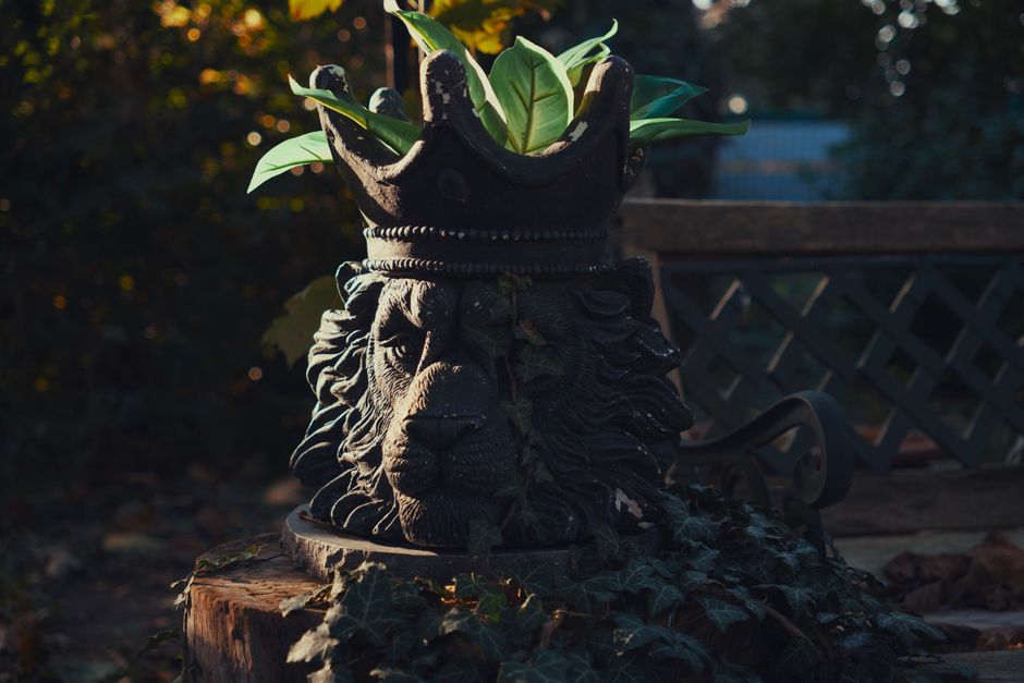 A regal lion head statue crowned with leaves, creating a unique planter in a garden ambiance.
