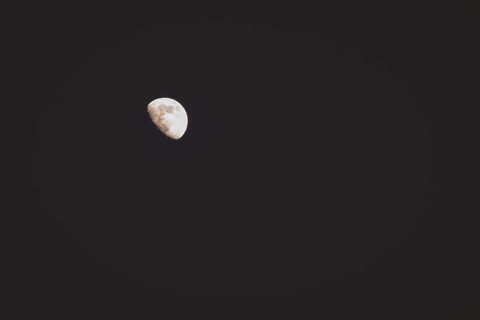 A clear view of a bright half moon against a dark night sky, perfect for astronomy enthusiasts.