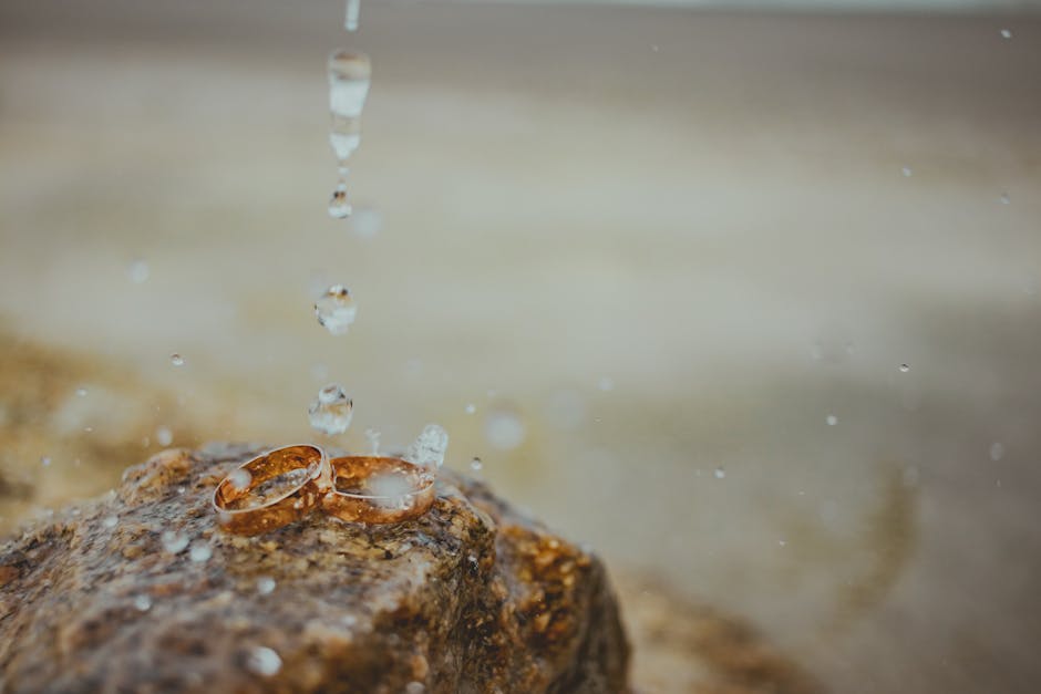 Close-up of wedding rings on a rock with water droplets, symbolizing love in nature.