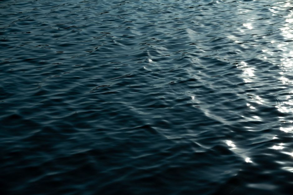 A calming image of gentle ripples on a dark water surface, reflecting light.