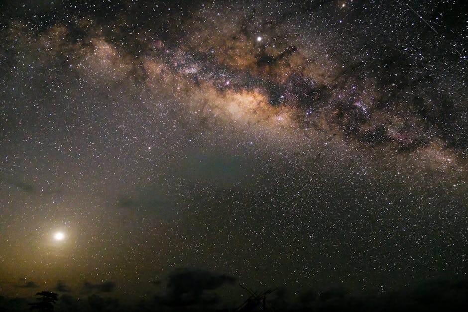 Captivating night sky filled with stars showcasing the Milky Way galaxy's beauty.
