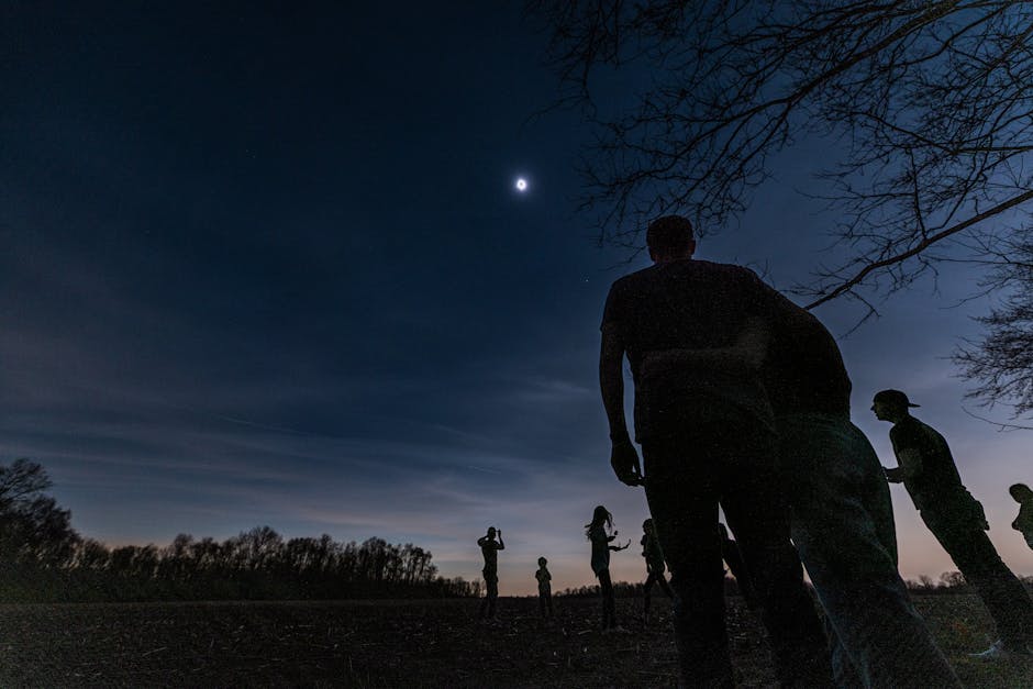 Group of people silhouetted against a moonlit sky, capturing a serene outdoor moment.