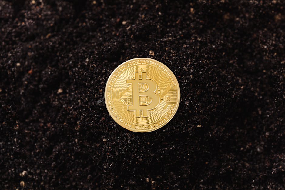 A shiny Bitcoin coin resting on a bed of dark soil symbolizing digital wealth.
