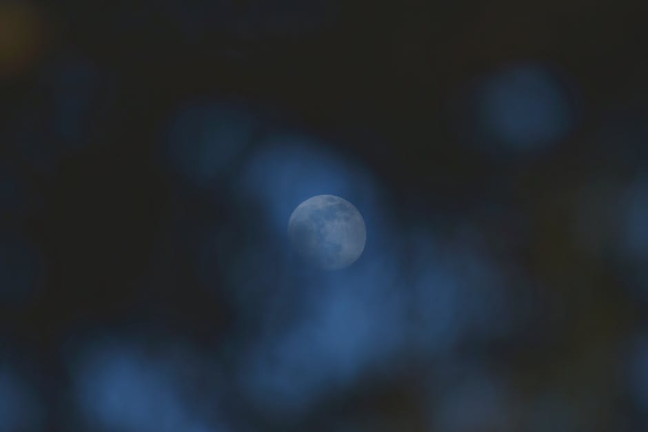 Soft focus moon through blurred branches, creating a dreamy nighttime atmosphere.