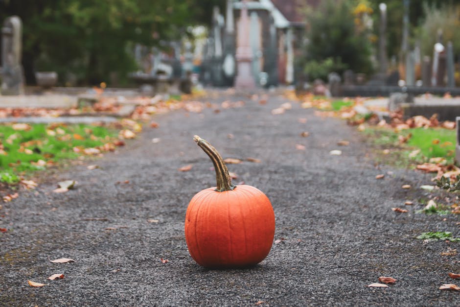 A solitary pumpkin sits on a gravel path surrounded by vibrant autumn foliage.