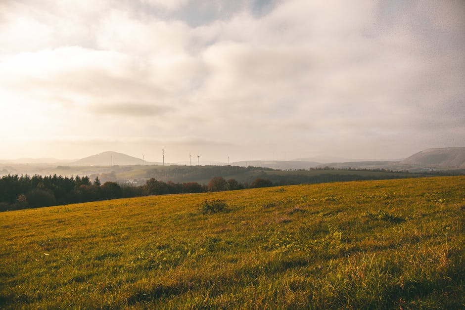 Peaceful autumn landscape featuring rolling hills and wind turbines under a cloudy sky.