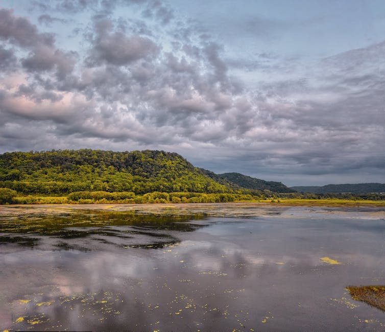 Beautiful landscape of Weaver Lake with vibrant fall foliage and dramatic clouds in Minnesota.