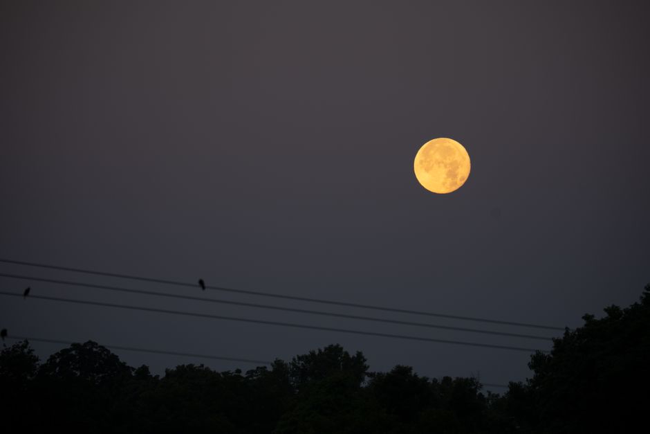 Captivating full moon glowing over a forested landscape against a night sky, seen in MN, USA.
