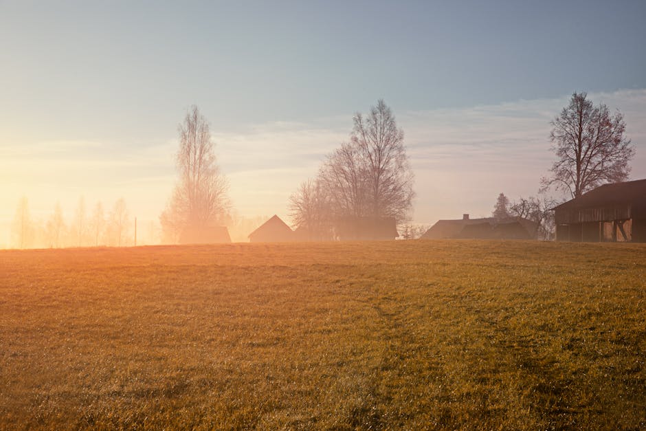 A tranquil, misty sunrise illuminating the autumn landscape in Straupe, Latvia.