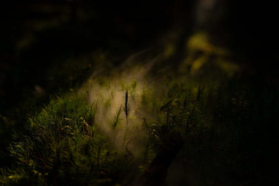 Ethereal plants in dark fog with dramatic lighting and moody atmosphere.