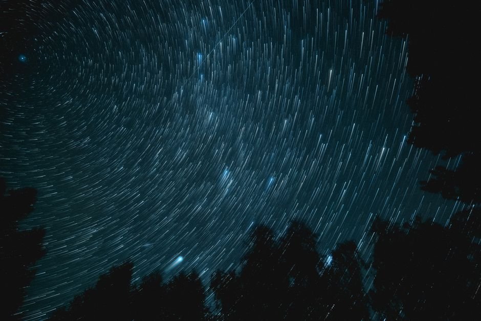 Stunning long exposure photo of star trails swirling above silhouetted forest trees at night.