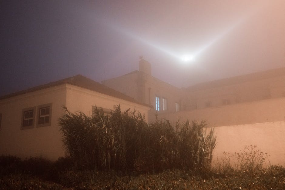 From below of old building with white walls and bush illuminated with big bright white mysterious light in night dark starless sky
