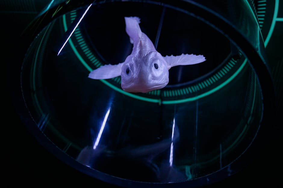 Close-up of a fish in a high-tech laboratory environment with a glowing backdrop.