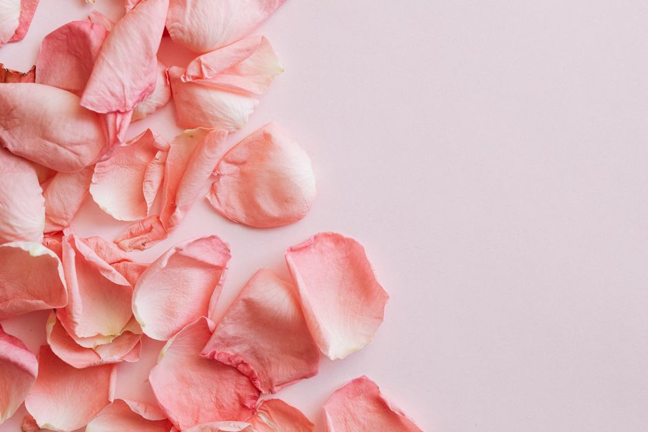 Flat lay of bunch of pink petals of roses placed on pink background
