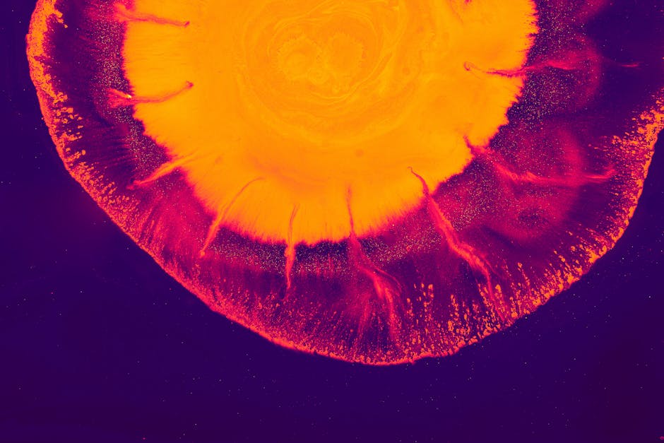 Colorful abstract art piece with bold red and yellow hues, resembling a cosmic explosion.