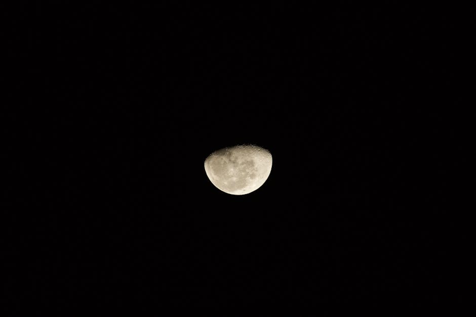 Crisp image of the moon set against a solid black night sky.