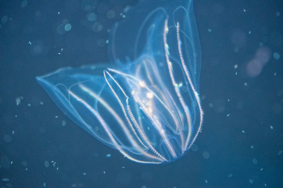 Glowing comb jelly showcasing bioluminescence in deep blue water.