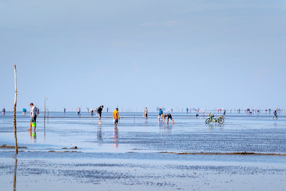 A crowd enjoys a spacious shoreline, some with bicycles and buckets on the wet beach.