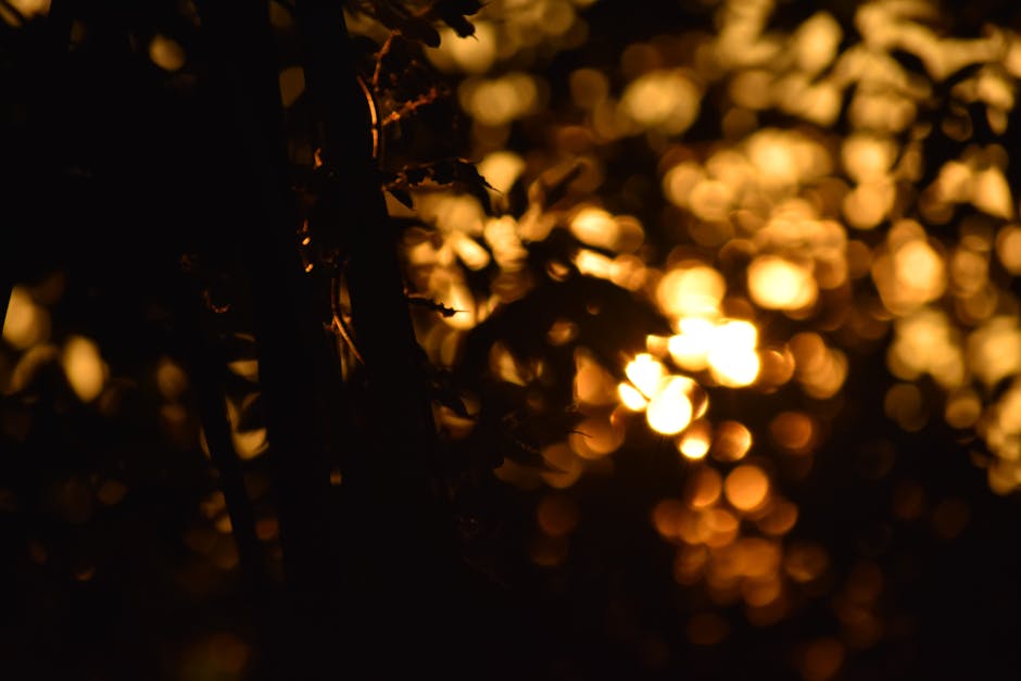 Abstract golden bokeh with dark leaves, creating a warm and dreamy atmosphere.